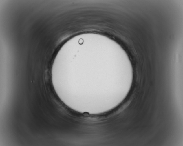 X0000086251497200704261925