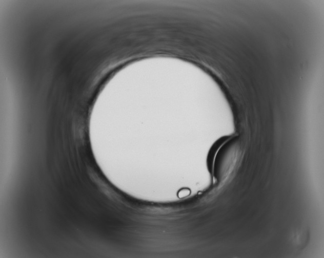 X0000086251499200704261925