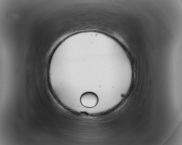X0000086251500200704261925