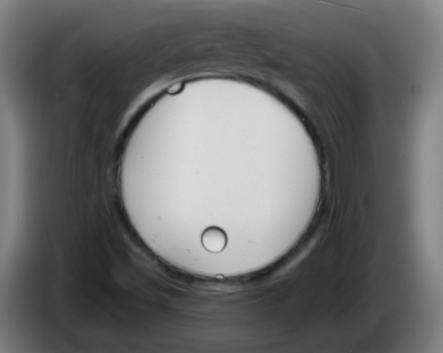 X0000086251501200704261925