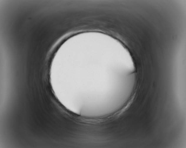 X0000086251502200704261925