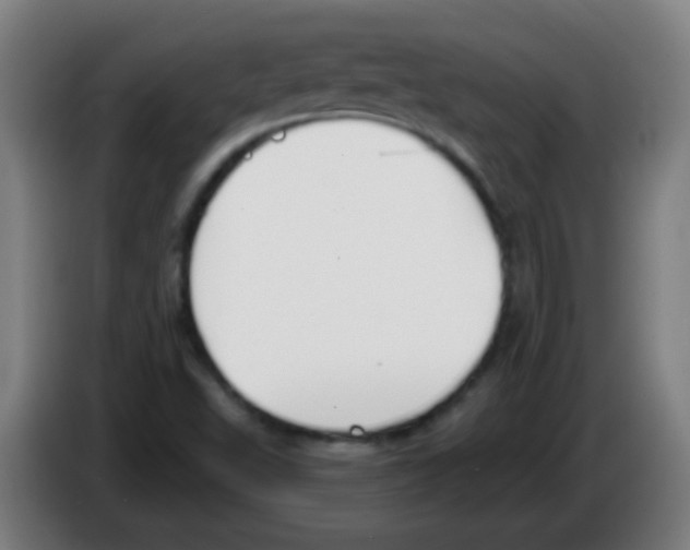 X0000086251503200704261925