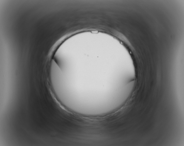 X0000086251504200704261925