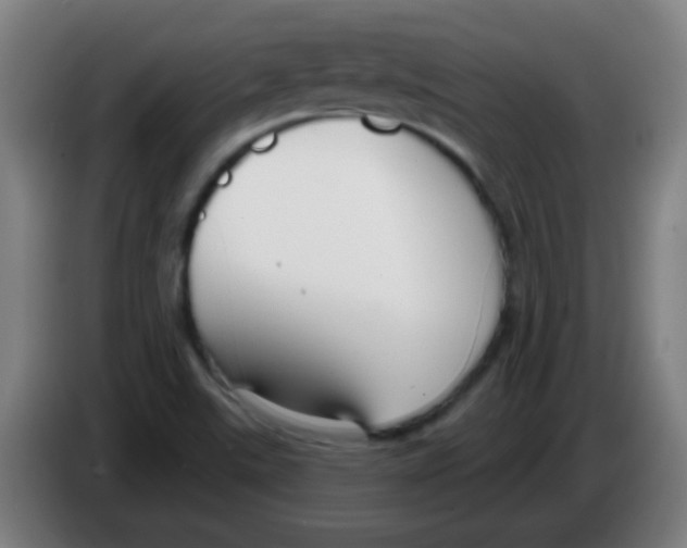 X0000086251507200704261925