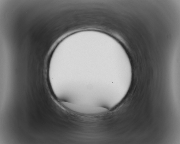 X0000086251508200704261925