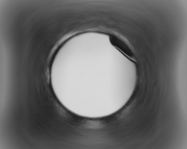 X0000086251509200704261925
