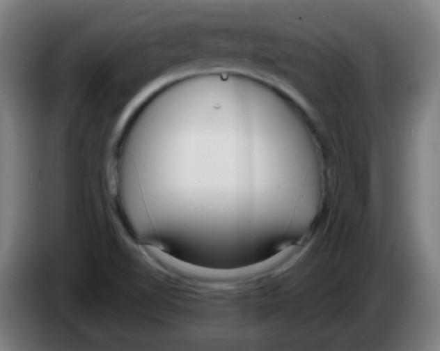 X0000086251510200704261925