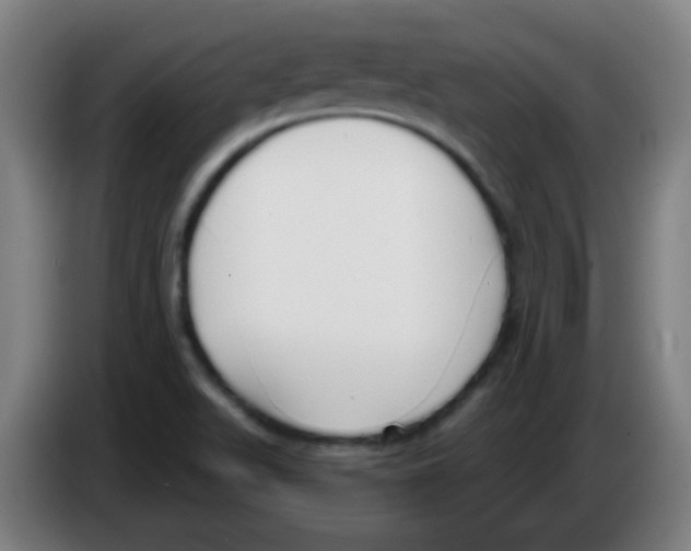 X0000086251511200704261925