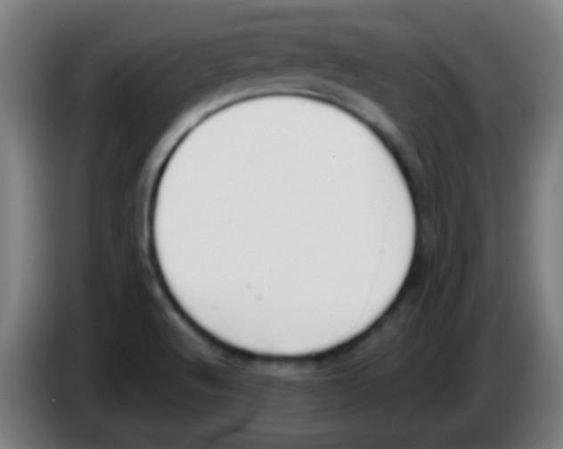X0000086251512200704261925
