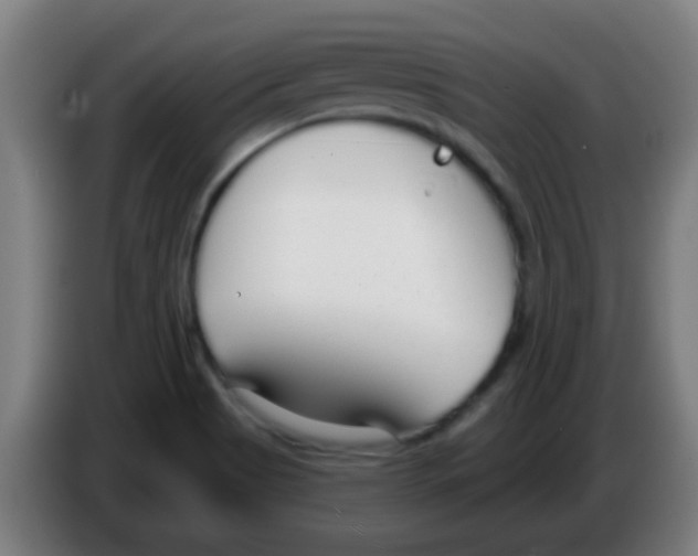 X0000086251513200704261925