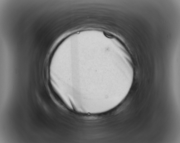X0000086251515200704261926