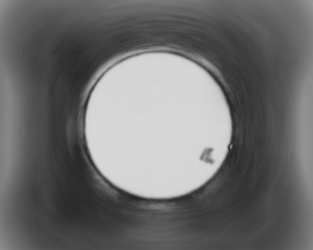 X0000086251516200704261926