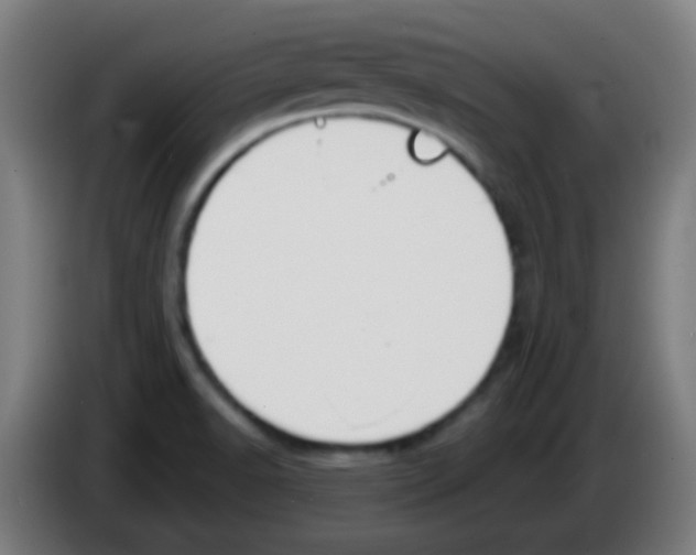 X0000086251518200704261926