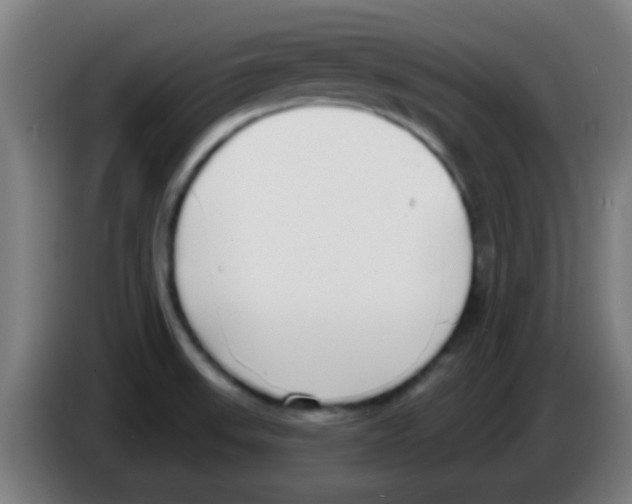 X0000086251523200704261926