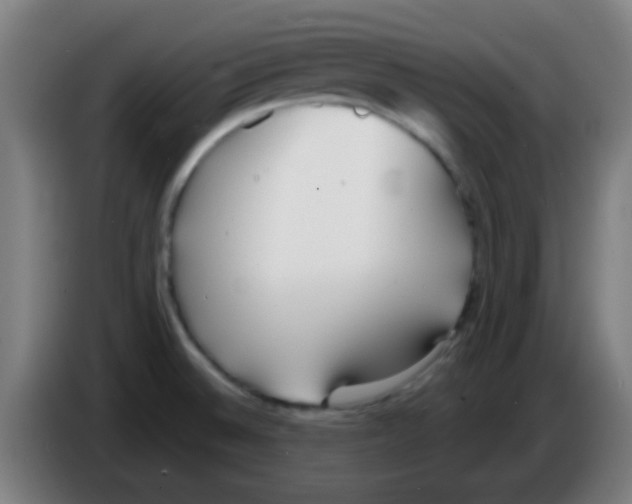 X0000086251524200704261926
