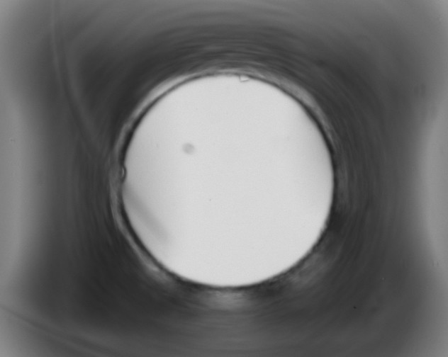 X0000086251525200704261926