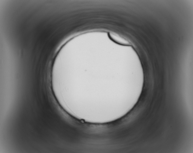 X0000086251526200704261926