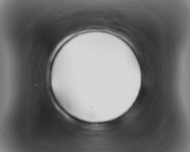 X0000086251527200704261926