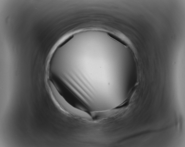 X0000086251528200704261926