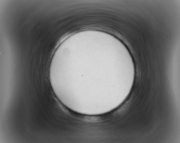 X0000086251529200704261926