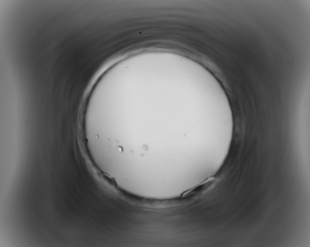 X0000086251530200704261926