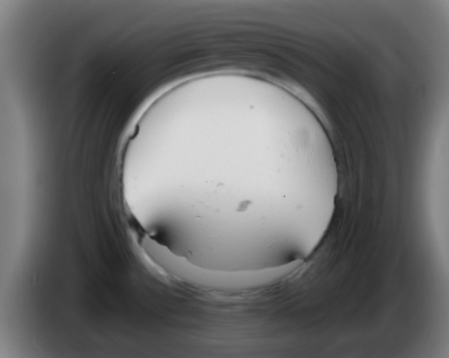 X0000086251532200704261926