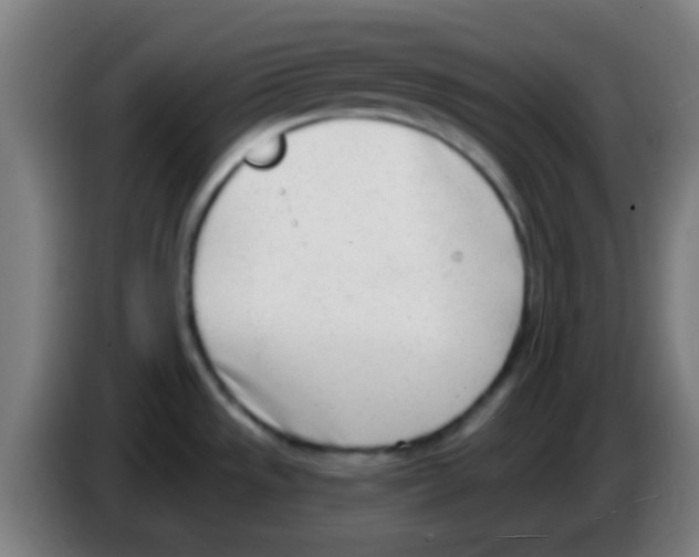 X0000086251533200704261926