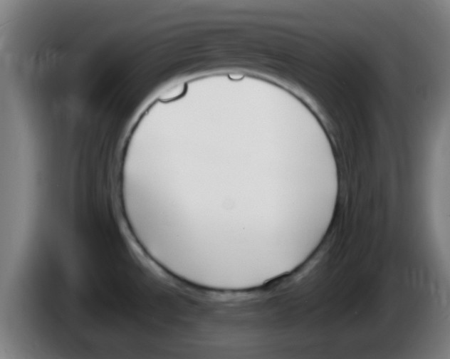 X0000086251534200704261926