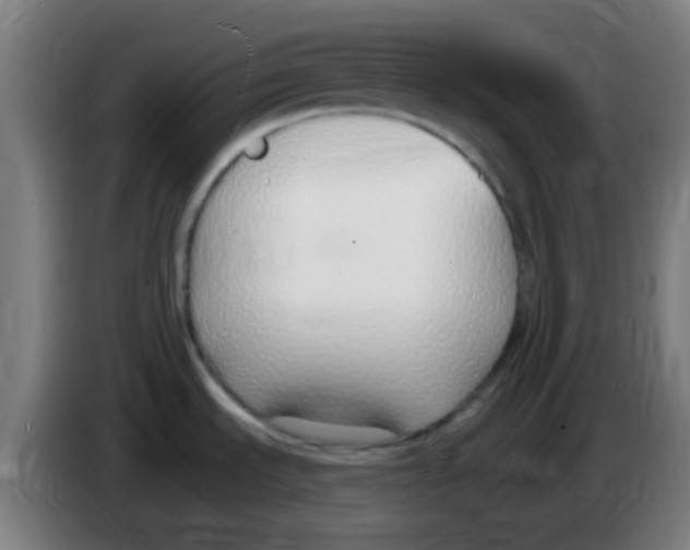X0000086251535200704261926