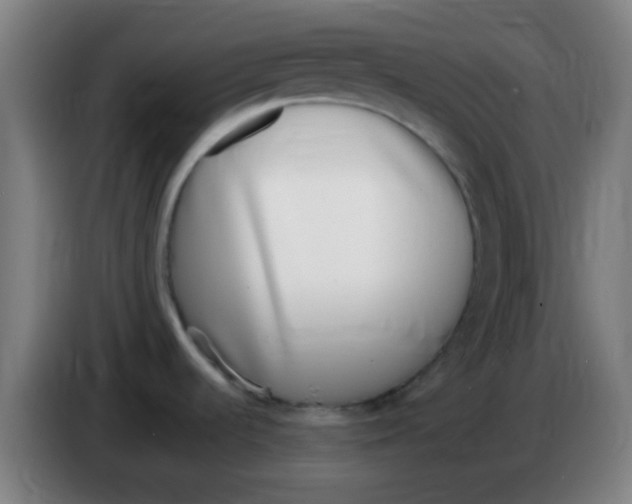 X0000086251536200704261926