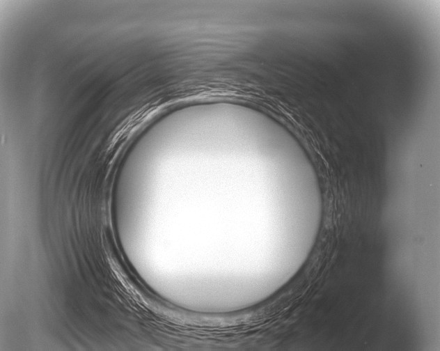 X0000086260002200703291115