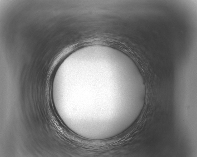 X0000086260006200703291115