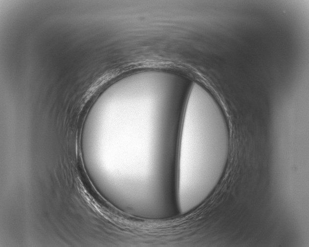 X0000086260011200703291115