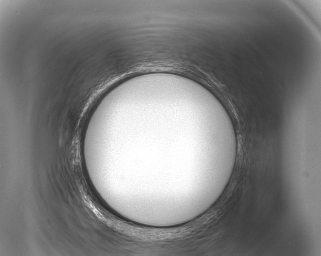 X0000086260012200703291115