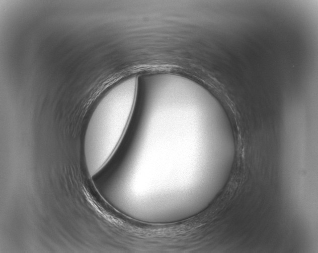 X0000086260013200703291115