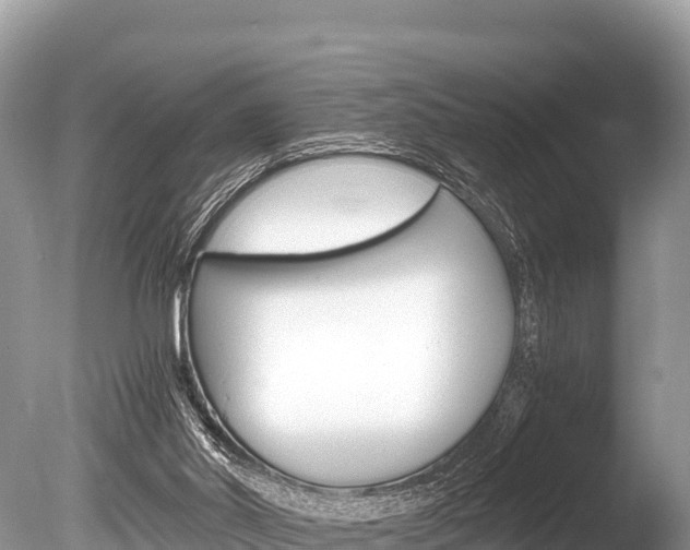 X0000086260014200703291115
