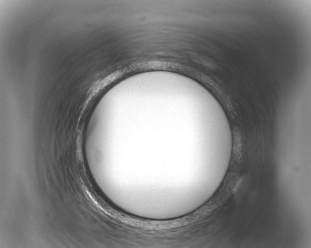 X0000086260016200703291115