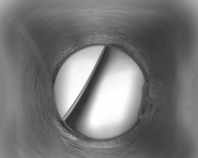 X0000086260017200703291115