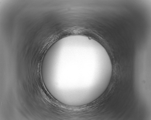 X0000086260018200703291115