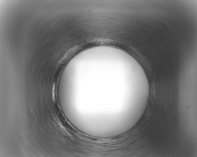 X0000086260024200703291114