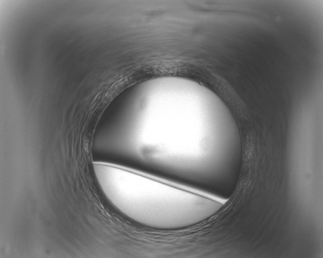 X0000086260025200703291114