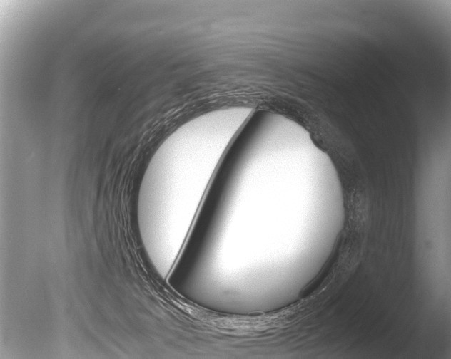 X0000086260033200703291114
