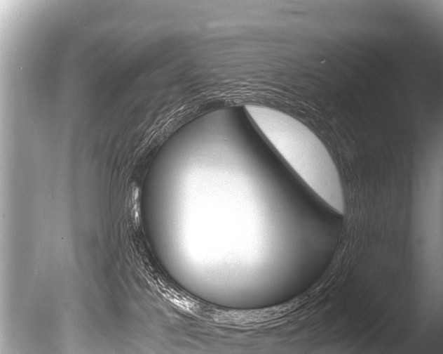 X0000086260041200703291114