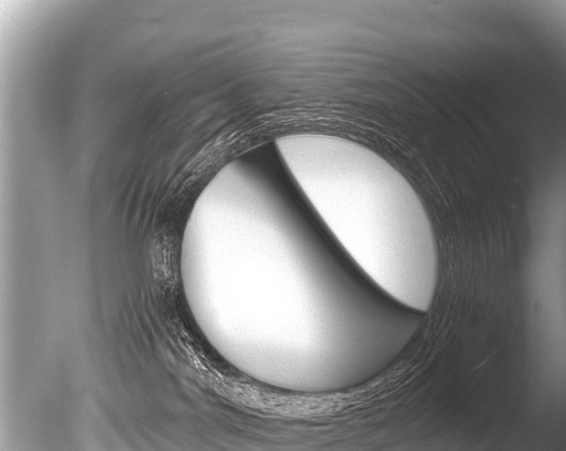 X0000086260044200703291114