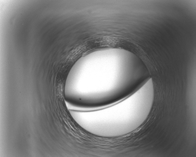 X0000086260045200703291114