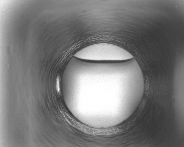 X0000086260046200703291114