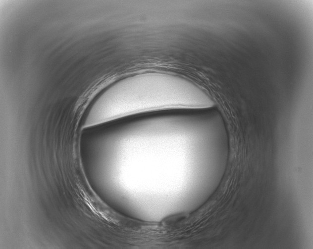 X0000086260050200703291113