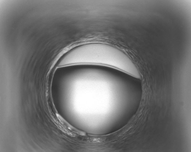 X0000086260056200703291113