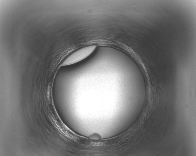 X0000086260057200703291113