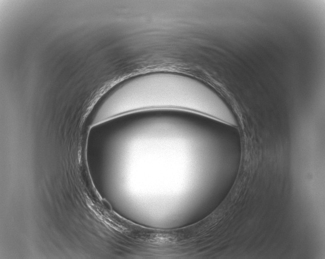 X0000086260060200703291113